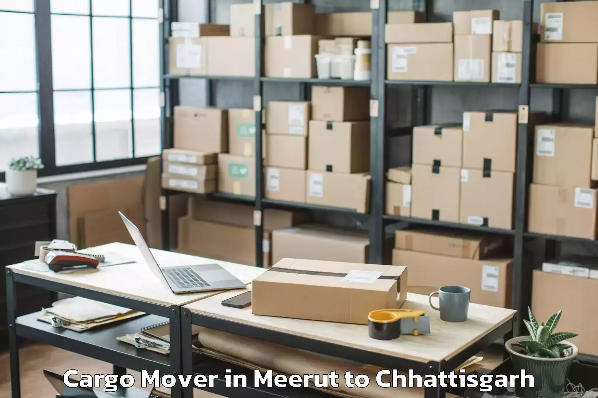 Professional Meerut to Mats University Aarang Cargo Mover